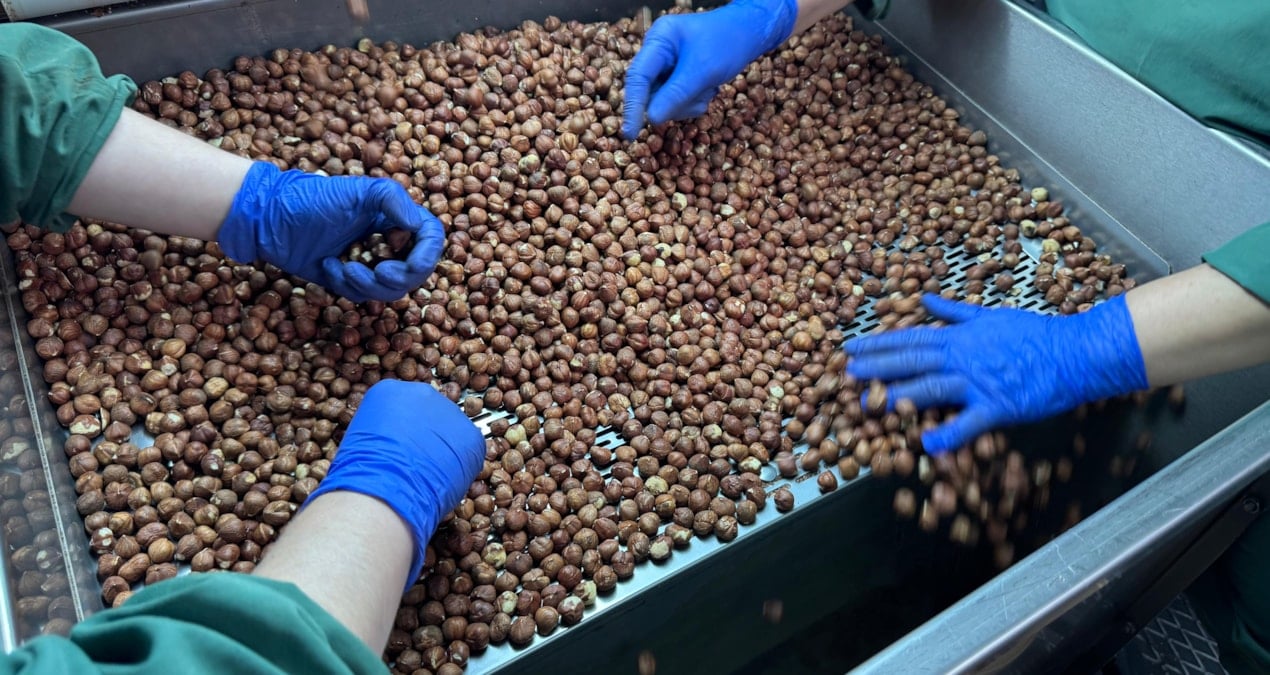 124 ulke findik icin turkiyeye para yagdirdi rxsJSj3v