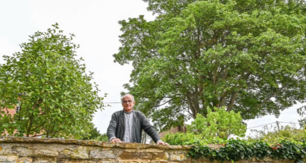 tum bu agac icin koy seferber oldu cok degerli I14aHPeg