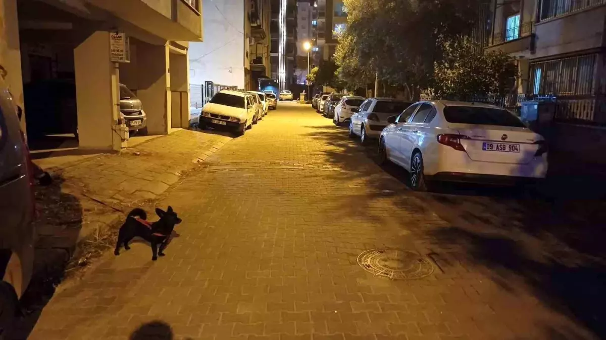 aydinda 61 buyuklugunde deprem panigi 82JllHxY.jpg