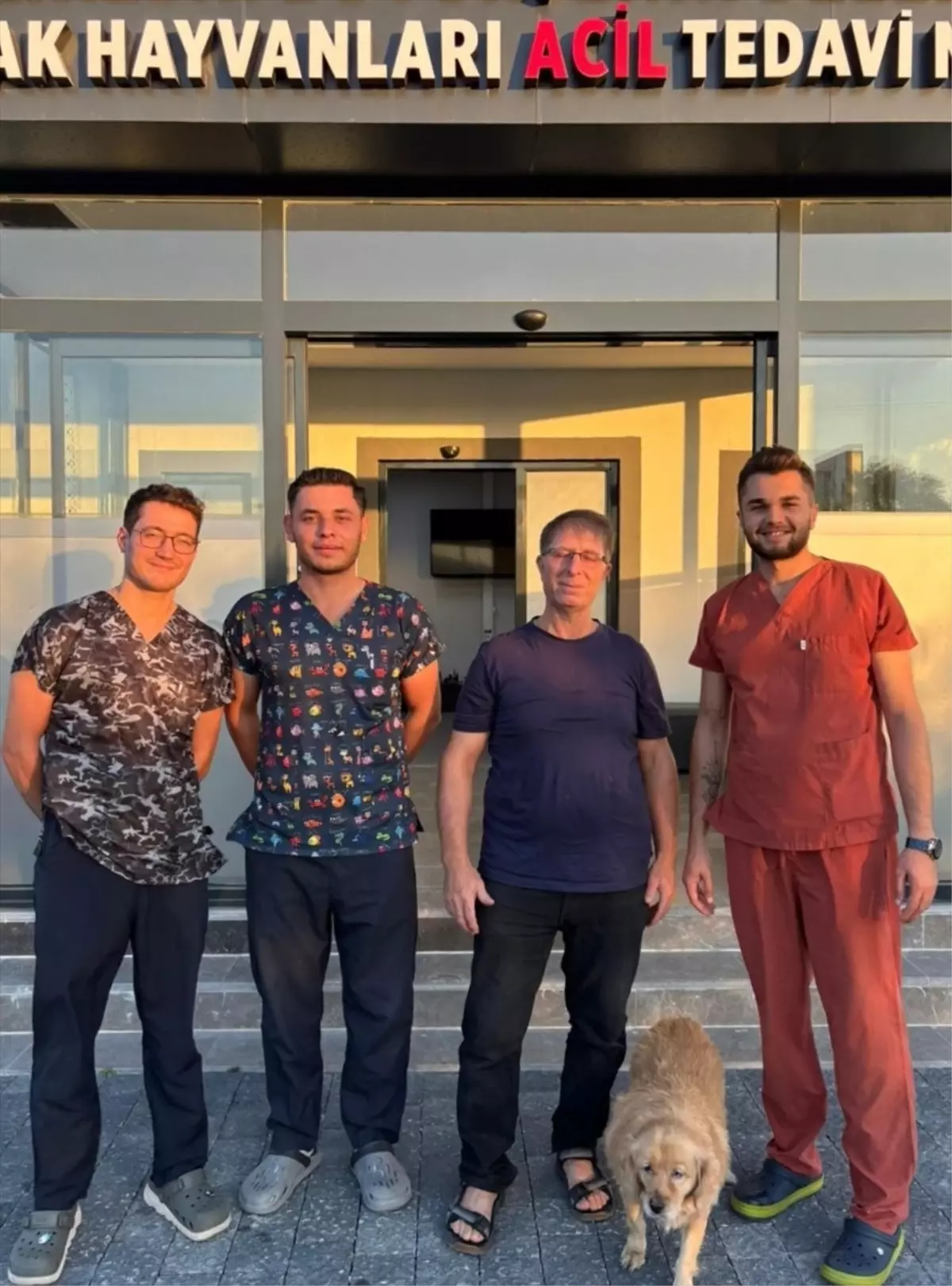 gofrete umut oldular C6ea9JAm